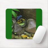 Dart Frog Buddies Muismat (Met muis)