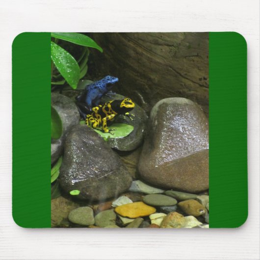 Dart Frog Buddies Muismat (Voorkant)