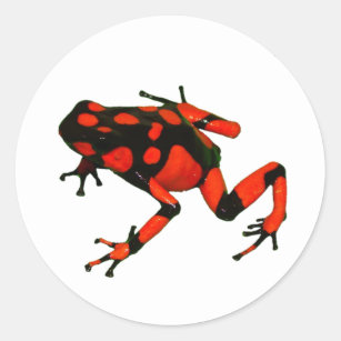 DART FROG STICKERS, FROG STICKERS