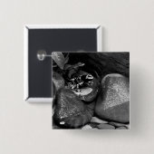 Dart Frog Vrienden B+W Vierkante Button 5,1 Cm (Voorkant /achterkant)