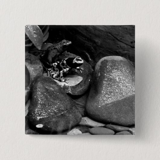 Dart Frog Vrienden B+W Vierkante Button 5,1 Cm (Voorkant)