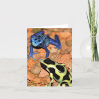 Dart Frogs Note Kaart