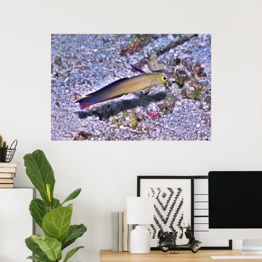 Dart Goby Poster (Thuiskantoor)