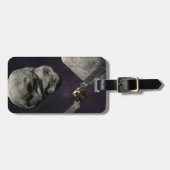 DART-ruimteschip en de Liciacube vóór de botsing Bagagelabel (Voorkant horizontaal)