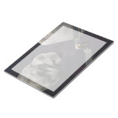 DART-ruimteschip en de Liciacube vóór de botsing Notitieblok (Schuin)