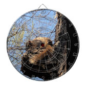 Dartboard Dartbord (Voorkant)