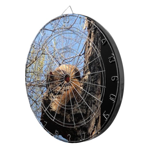 Dartboard Dartbord (Voorkant Rechts)