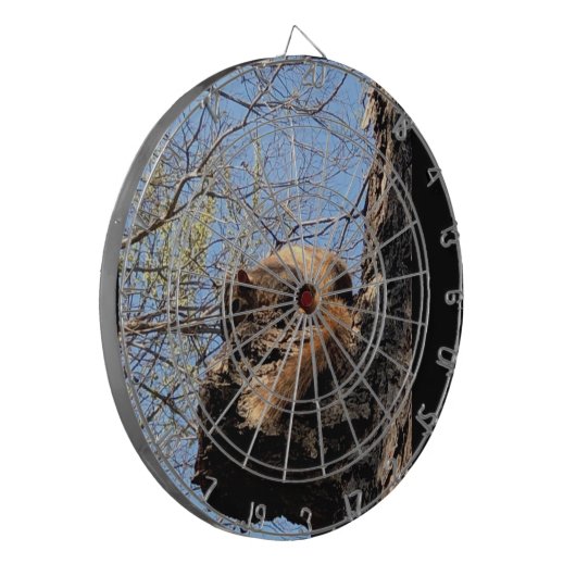 Dartboard Dartbord (Voorkant Links)