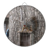 Dartboard Dartbord (Voorkant)