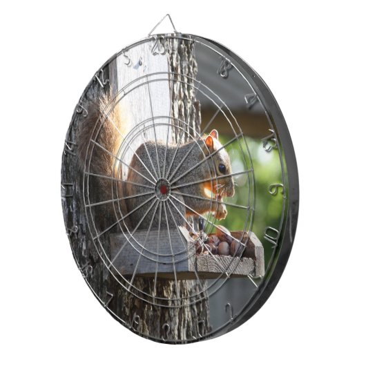 Dartboards Dartbord (Voorkant Rechts)