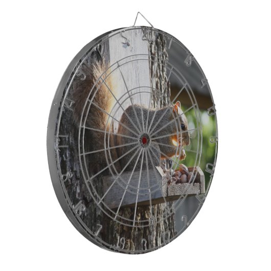 Dartboards Dartbord (Voorkant Links)