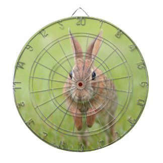 Dartbord met hopping bunny rabbit afbeelding