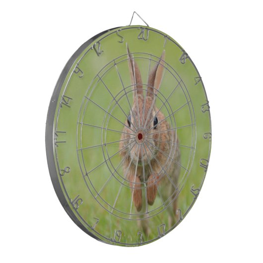 Dartbord met hopping bunny rabbit afbeelding (Voorkant Links)