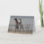 Dartel Paarden, Valentijnsdag Feestdagen Kaart (Achterkant)