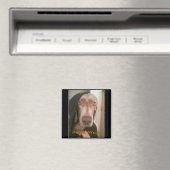 Darth Weim magneet (Insitu (Vaatwasser))