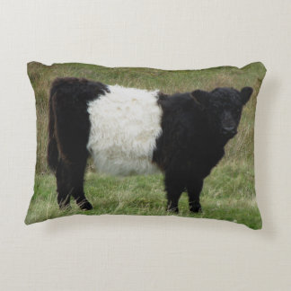 Dartmoor Belted Galloway Calf Accent Kussen