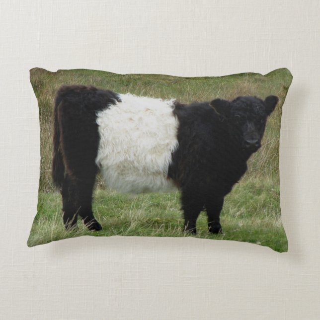 Dartmoor Belted Galloway Calf Accent Kussen (Achterkant)