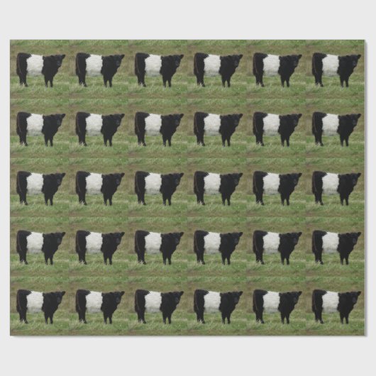 Dartmoor Belted Galloway Calf Kijken Cadeaupapier (Vlak)