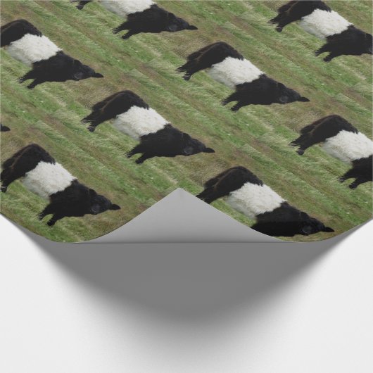 Dartmoor Belted Galloway Calf Kijken Cadeaupapier (Hoek)