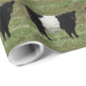 Dartmoor Belted Galloway Calf Kijken Cadeaupapier (Rol Hoek)