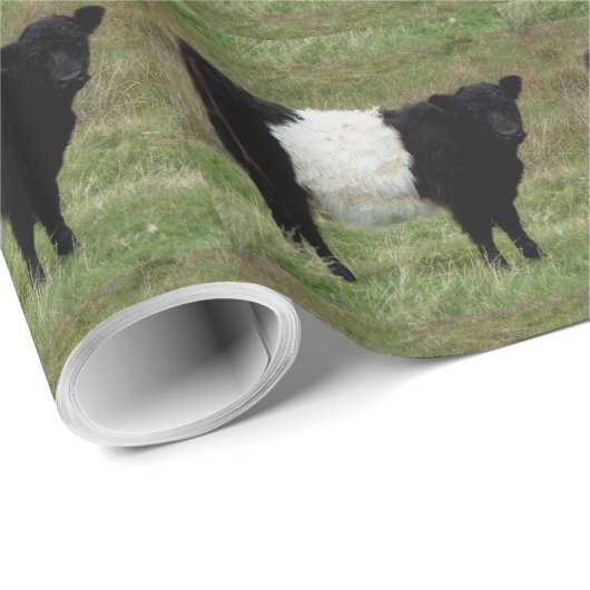 Dartmoor Belted Galloway Calf Kijken Cadeaupapier (Rol Hoek)