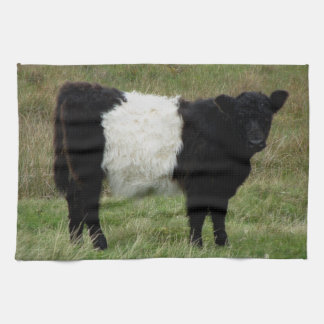 Dartmoor Belted Galloway Calf Theedoek