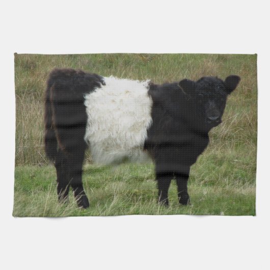 Dartmoor Belted Galloway Calf Theedoek (Horizontaal)