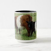 Dartmoor Belted Galloway Cow en Calf Mok (Midden)