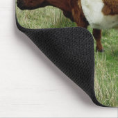 Dartmoor Belted Galloway Cow en Calf Muismat (Hoek)