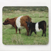 Dartmoor Belted Galloway Cow en Calf Muismat (Voorkant)