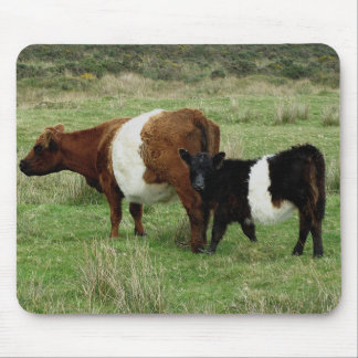 Dartmoor Belted Galloway Cow en Calf Muismat