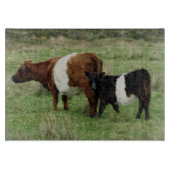Dartmoor Belted Galloway Cow en Calf Snijplank (Voorkant)