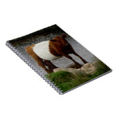 Dartmoor Belted Galloway Cow Standing in River Notitieboek (Rechterzijde)