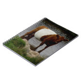 Dartmoor Belted Galloway Cow Standing in River Notitieboek (Linkerzijde)