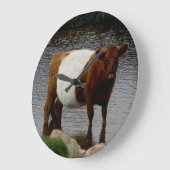 Dartmoor Belted Galloway Cow Standing River Grote Klok (Hoek)