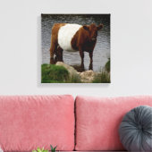 Dartmoor Belted Galloway Koe Standing in River Canvas Afdruk (Insitu (Woonkamer))