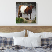 Dartmoor Belted Galloway Koe Standing in River Canvas Afdruk (Insitu (Slaapkamer))