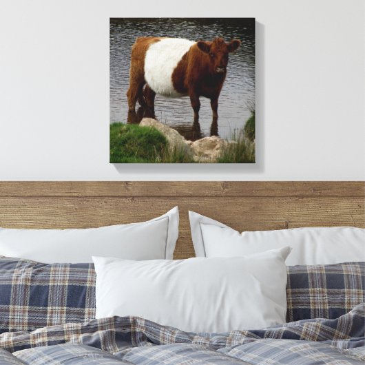 Dartmoor Belted Galloway Koe Standing in River Canvas Afdruk (Insitu (Slaapkamer))