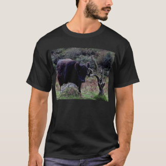 Dartmoor Black Galloway Cow Scratching On Tree T-shirt