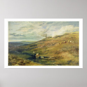 Dartmoor: Bron van de Tamar en de Torridge Poster