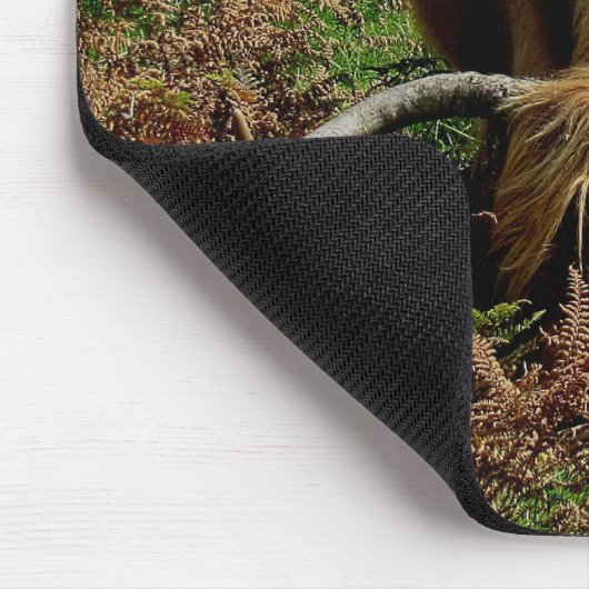 Dartmoor Highland Cow Grazing in Bracken Muismat (Hoek)