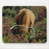 Dartmoor Highland Cow Grazing in Bracken Muismat (Voorkant)