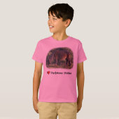 Dartmoor Ponies t shirt (Voorkant volledig)