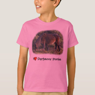 Dartmoor Ponies t shirt