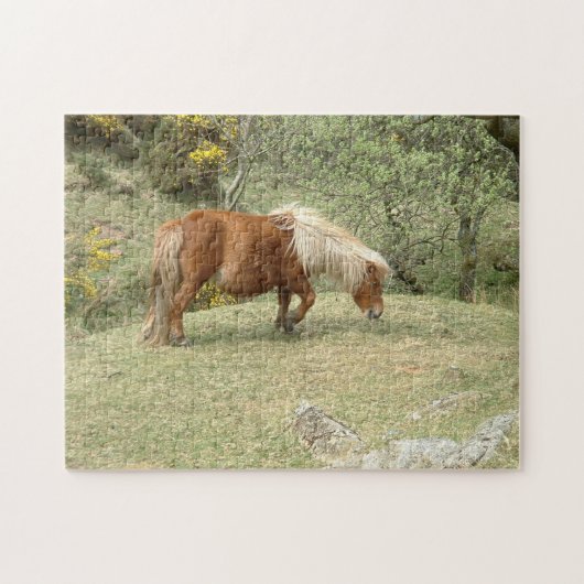 Dartmoor Ponny, Wild English Horses/Britain Legpuzzel (Horizontaal)