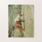 Dartmoor Ponny, Wild English Horses/Britain Legpuzzel (Verticaal)
