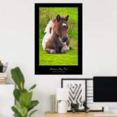 Dartmoor Pony Foal gallery-achtige poster afdrukke (Thuiskantoor)