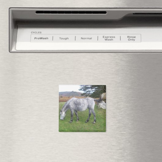 Dartmoor pony magneet (Insitu (Vaatwasser))