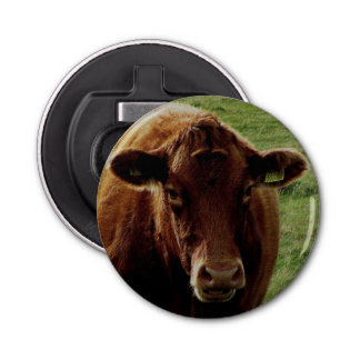 Dartmoor South Devon Cow Kijken Button Flesopener