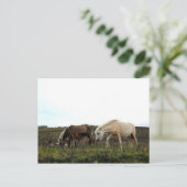 Dartmoor Wild Ponies Briefkaart (Staand voorkant)